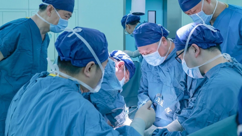 В КНР провели первую в мире пересадку печени ГМО-свиньи человеку