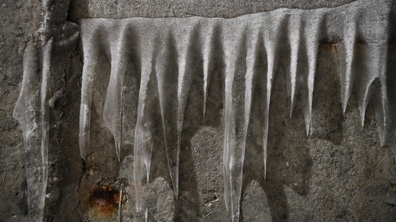 "Древнее зло пробудилось": находка в вечной мерзлоте ужаснула ученых