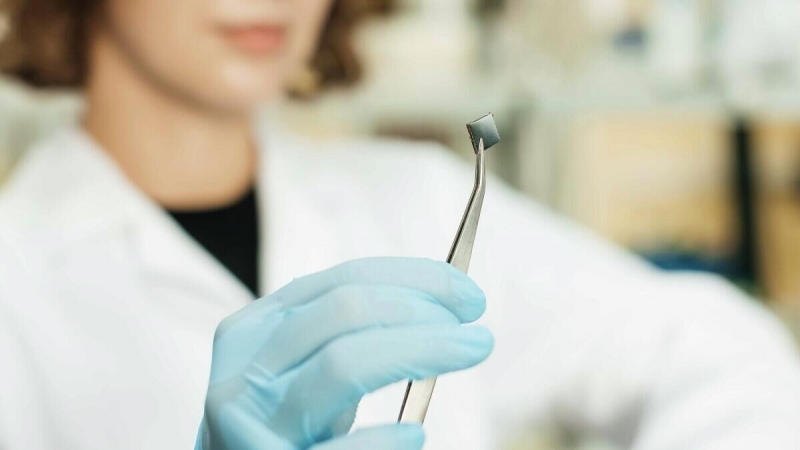 Ростовские ученые предложили основу для имплантатов, превращающихся в кость