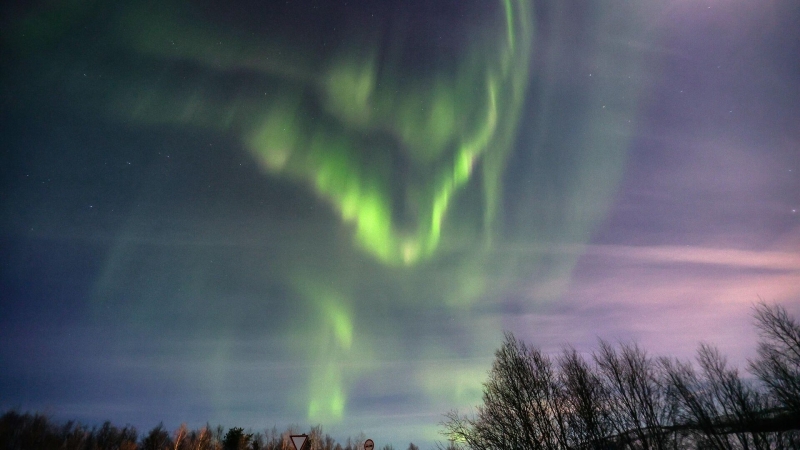 Ученые рассказали, когда и как увидеть полярное сияние в широтах Москвы