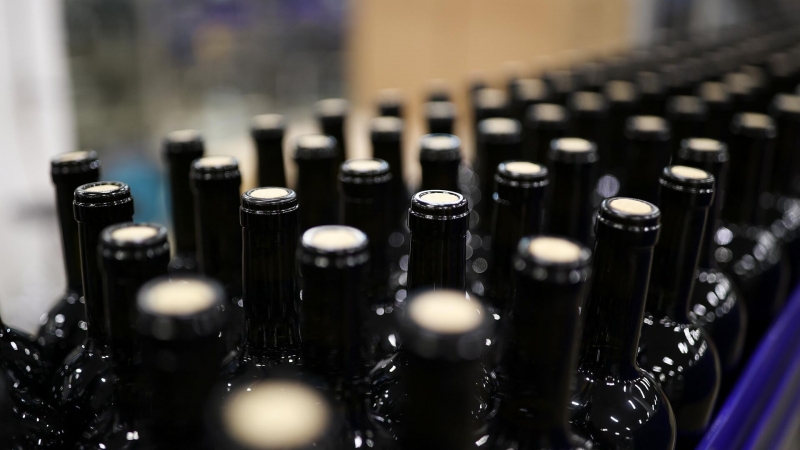 Ковальчук рассказал, как генетика винограда поможет российским виноделам