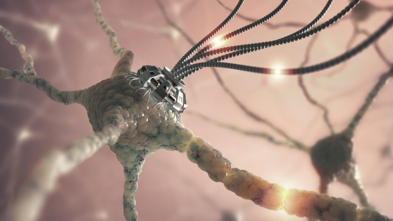 Российские ученые создали искусственный нейрон для изучения мозга