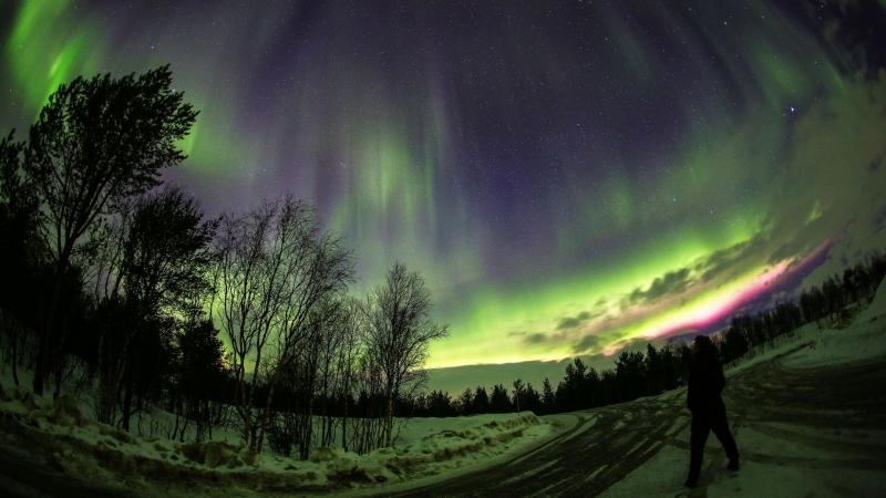 Полярные сияния в средней полосе России скоро прекратятся, заявил ученый