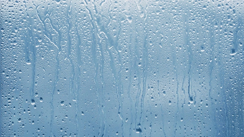 В Ростове-на-Дону предложили способ контролировать экстремальную влажность