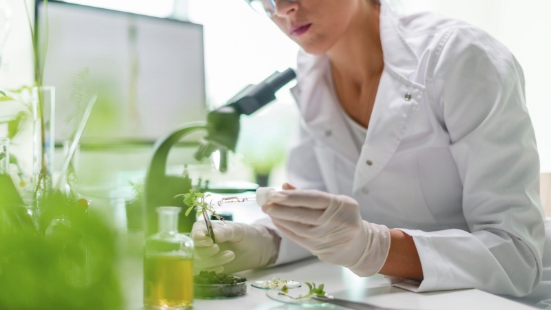 Эколог рассказал, с чем столкнутся Турция и Ближний Восток к 2030 году