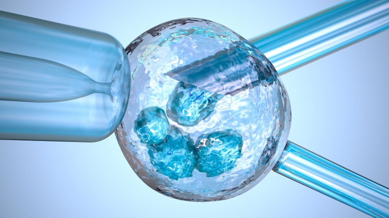 Часики больше не тикают: найдено решение важнейшей женской проблемы