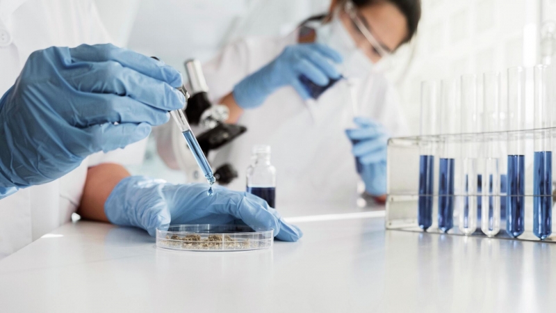 Нобелевские лауреаты раскрыли "черный ящик" иммунологии, заявил биолог