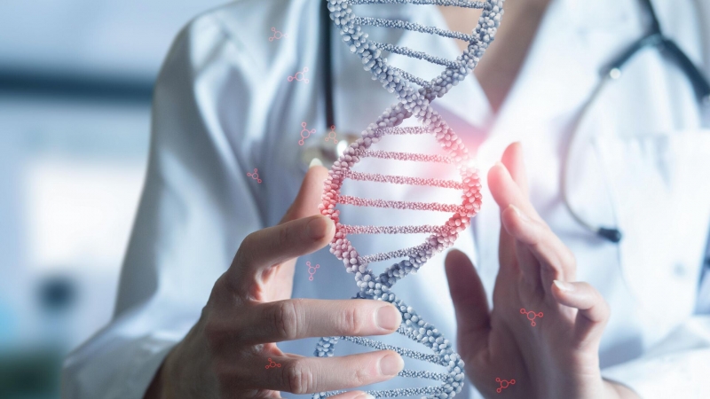 В КНР провели первую в мире пересадку печени ГМО-свиньи человеку