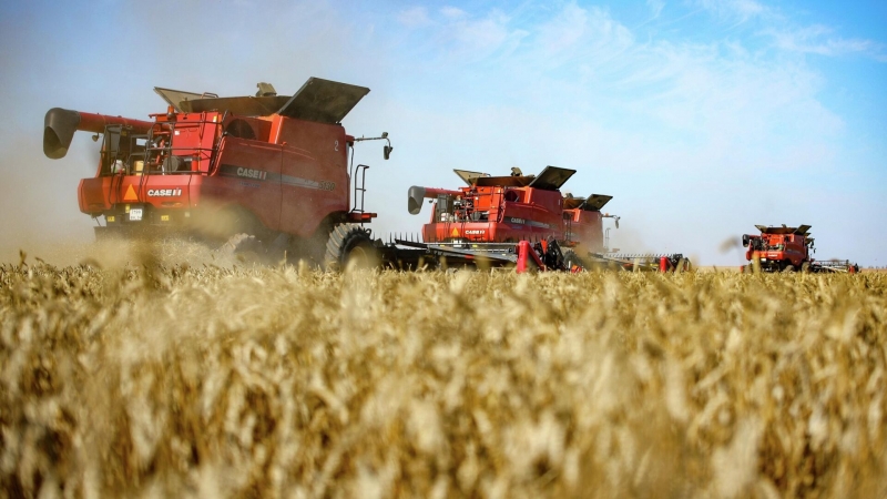 Путин заявил о планах использовать ИИ в сельском хозяйстве