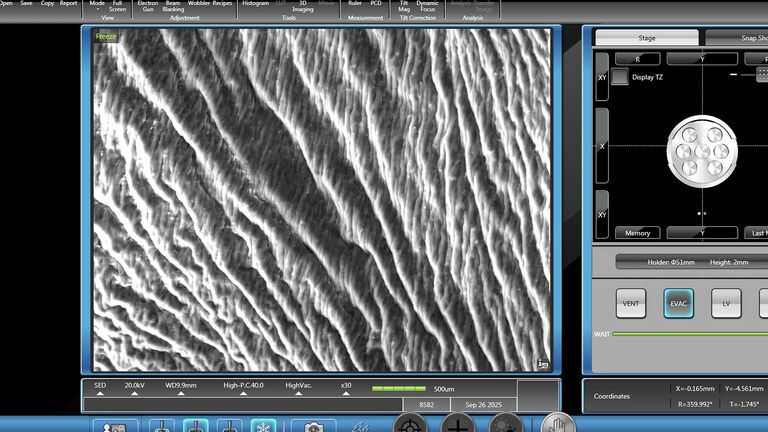 В Нижнем Новгороде создали ранозаживляющие покрытия из рыбы