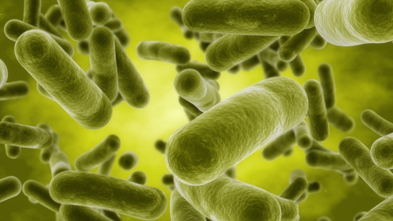 Ученые создали новый антибиотик