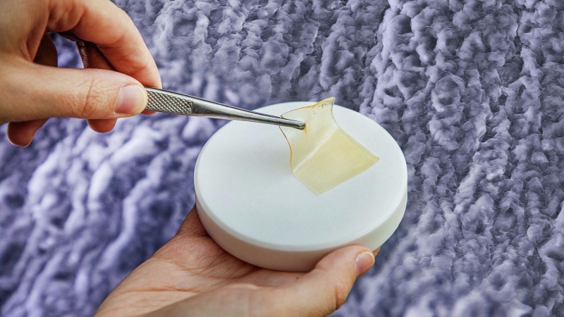 В Нижнем Новгороде создали ранозаживляющие покрытия из рыбы