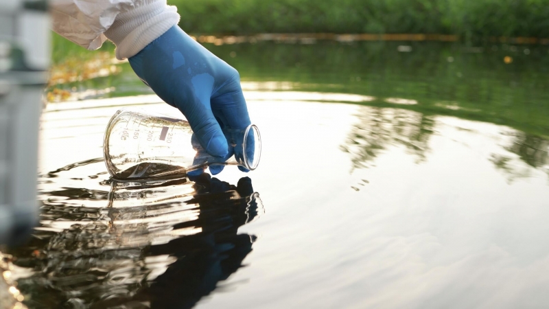 Океанолог предупредил об опасности красных приливов
